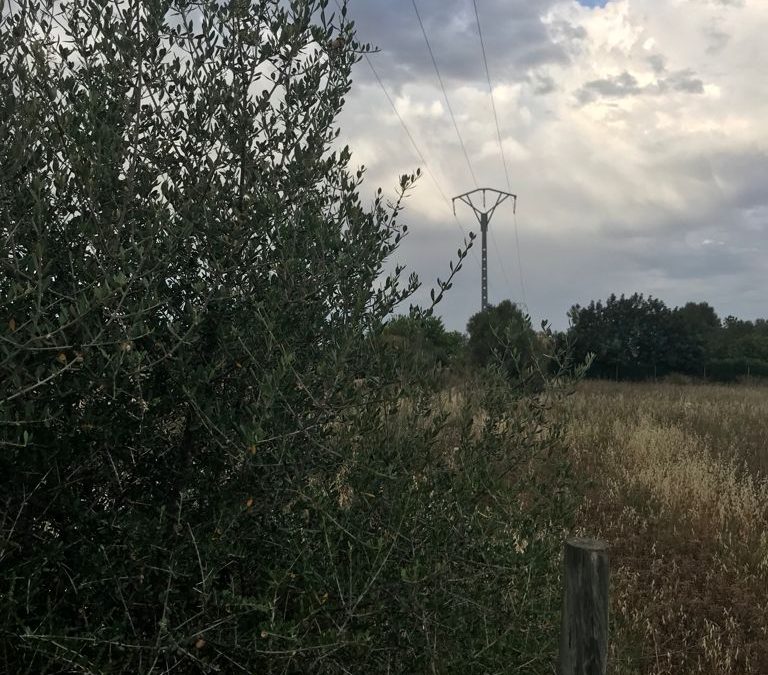 TERRENO EN SANTA MARIA DEL CAMI