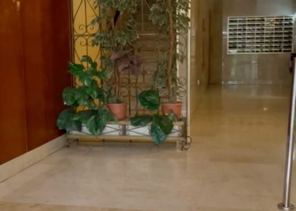 PISO EN ALQUILER – PALMA