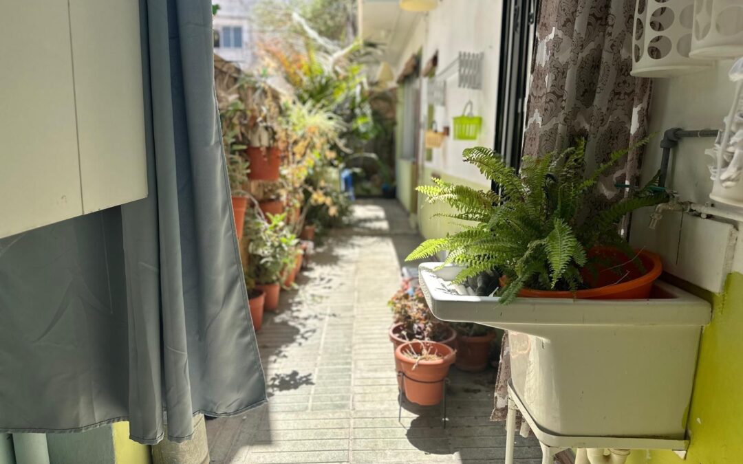 PLANTA BAJA DE 2 HABITACIONES EN INCA