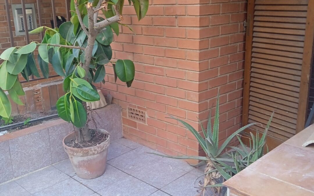 AMPLIA PLANTA BAJA DE 3 HABITACIONES CON TERRAZA Y APARCAMIENTO EN ES RAFAL