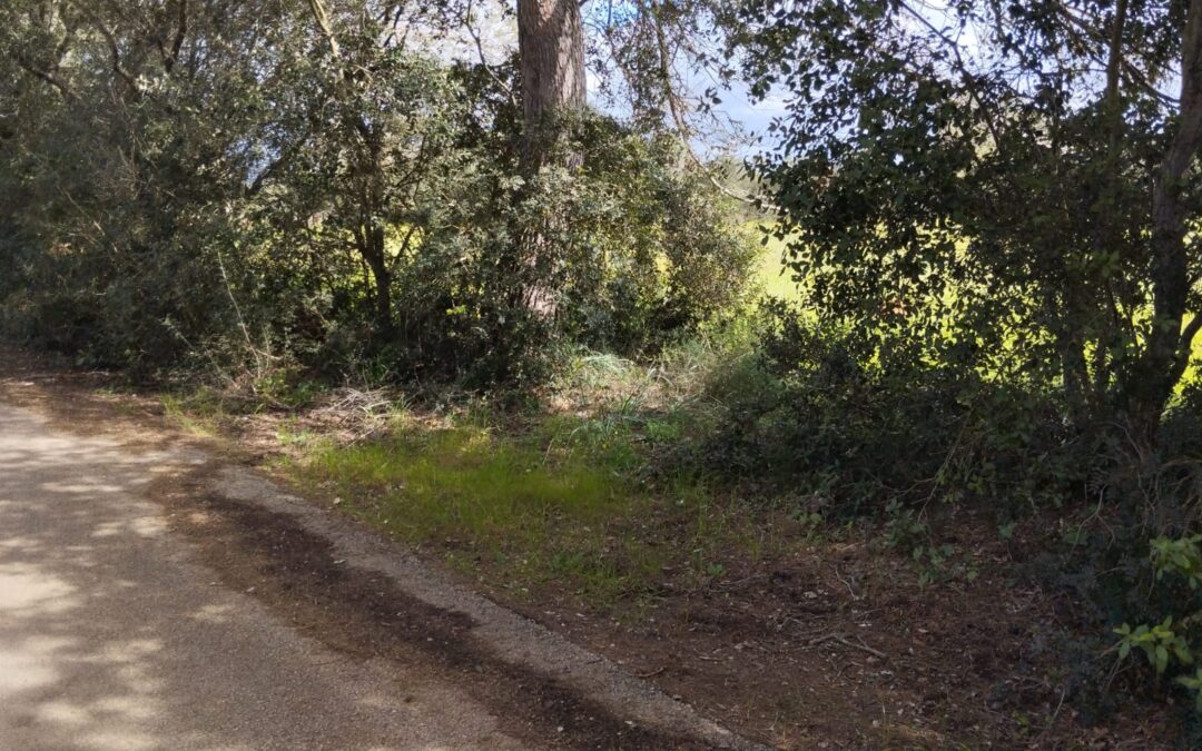 TERRENO EN SANTA EUGENIA DE 5702 m2